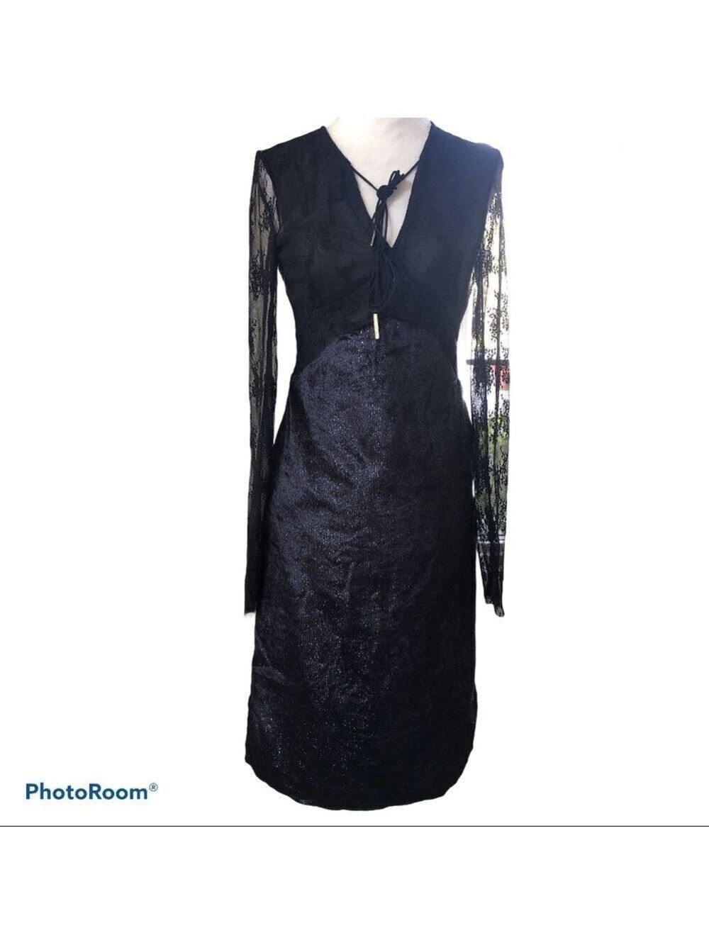 NWT LIN Edition Limit Sheer Lace and Velvet Dress
